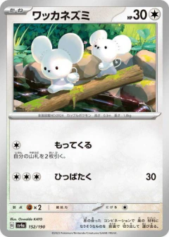 (152/190) Tandemaus