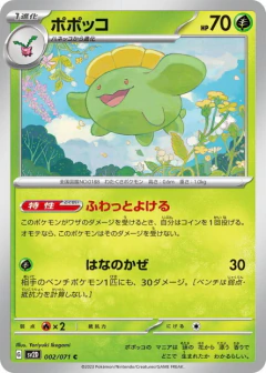 (002/071) Skiploom