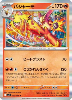 (020/098) Blaziken