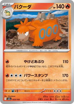 (023/193) Camerupt