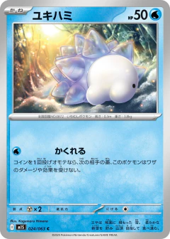 (024/063) Snom
