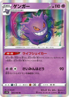 (025/060) Gengar