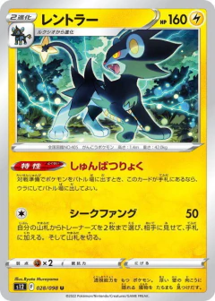 (028/098) Luxray