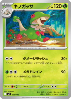 (029/742) Breloom