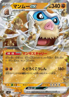 (046/100) Mamoswine ex