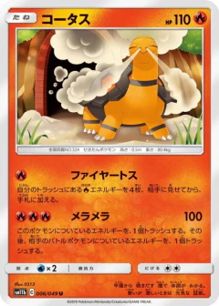(006/049) Torkoal