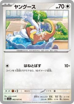 (062/073) Yungoos