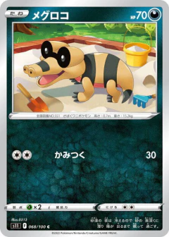 (068/100) Sandile