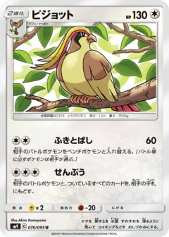 (070/095) Pidgeot