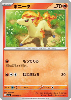 (077/165) Ponyta
