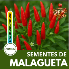 Sementes de Malagueta