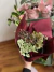 Mix Hypoestes · Gratitud