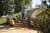 HIDROLAVADORA STIHL RE 110 - tienda online