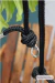 Alça de bolsa de corda regulável - Preta + Niquelada - comprar online
