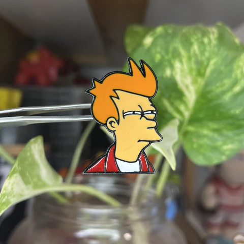 Pin Fry (Futurama)
