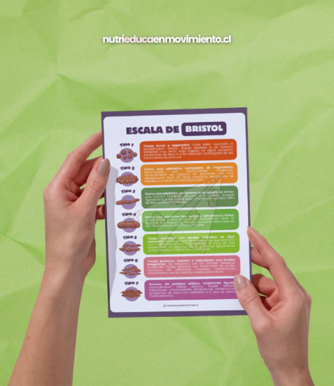 Escala de Bristol