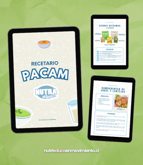 Recetario PACAM (28 recetas)