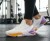 Tenis Under Armour Tribase Cross 2 Branco e lilás N°36 - comprar online