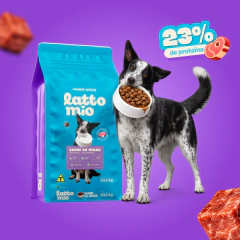 Ração para Cães Premium Especial 10kg com 23% de proteína