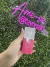 Perfume de cabelo - TAYNNA 10+