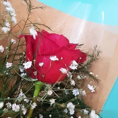 1 rosa - comprar online