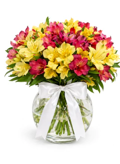 Vaso de Flores Astromélias