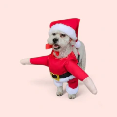 Disfraz de Papa Noel - comprar online