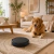 Aspiradora Robot WiFi - comprar online