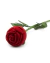 Estuche Rosa