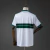 Camisa Coritiba I 26/27 - Torcedor Diadora Masculina - Branca e verde - comprar online