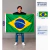 Bandera Brasil 1.50x90cm Exterior Grande #915932190 - comprar en línea