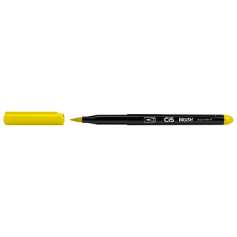 CANETA BRUSH CIS - loja online