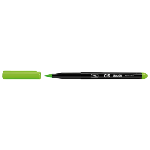 CANETA BRUSH CIS na internet