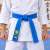 Cinturon Adidas Elite Karate Aprobado Wkf Reforzado 9 Filas en internet