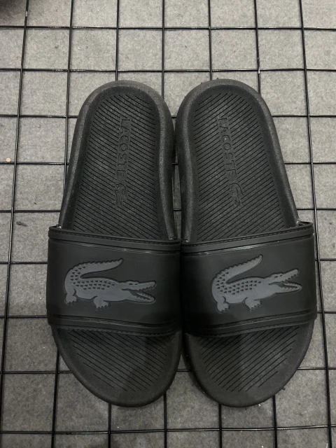 Chinelo Lacoste #8036