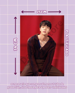 Imagen de Poster Individual Jin Varios