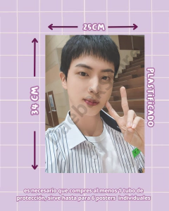 Imagen de Poster Individual Jin Varios