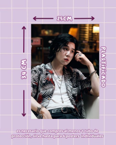 Poster Individual Suga Haegeum - Daebak store - Tienda de Kpop