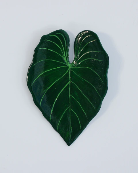 Alocasia | 12x17cm
