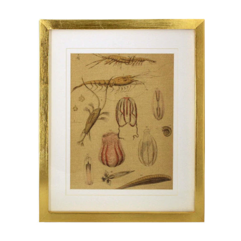 Cuadro Decorativo Marino, Disponible en 3 modelos - Corner Home