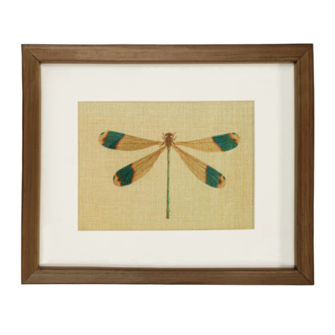 Cuadro Decorativo Insecto Bicho Marco Madera , 4 Modelos Disponibles - tienda en línea