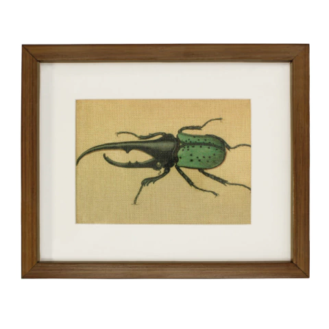 Imagen de Cuadro Decorativo Insecto Bicho Marco Madera , 4 Modelos Disponibles