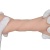 Masturbador Masculino Formato Vagina - Lion - Si 14,0 X 7,5 - Sexy Shop Mooca