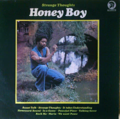 Honey Boy – Strange Thoughts