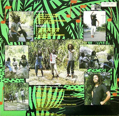 Cedric Myton & The Congos - Face the music - onedropstore