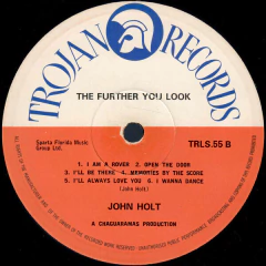 John Holt – The further you look - comprar online