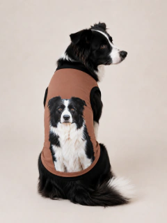 Tal Mãe, Tal Pet Pijama Inverno Border Collie Charm na internet