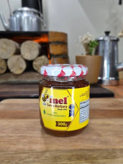 Mel Vidro Silvestre (300g)