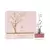 Deciduous Spring EDP 100 ml - Aurora Scents - comprar online