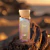 Nexa Musée EDP 100 ml - Rue Broca - loja online
